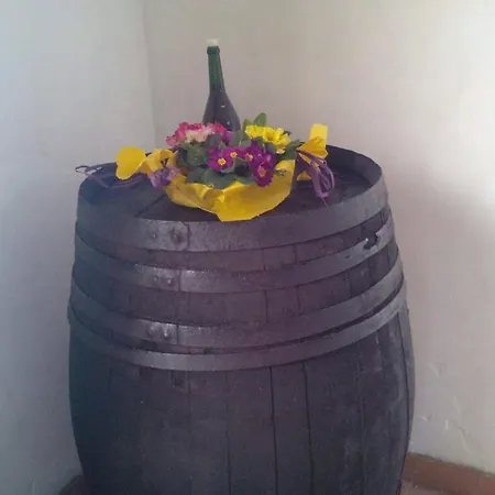 Gli Aranci Dell'etna Agroturismo