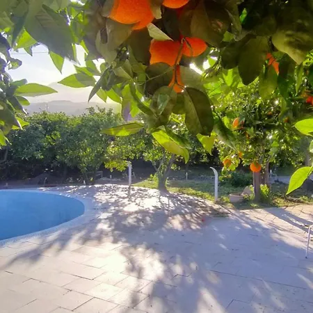 Gli Aranci Dell'etna
