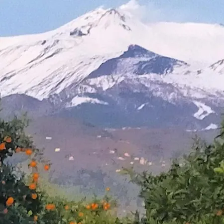 Gli Aranci Dell'etna * Mascali
