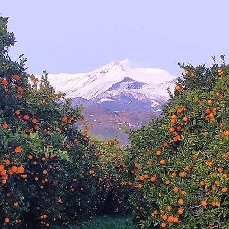 Farm stay Gli Aranci Dell'etna *